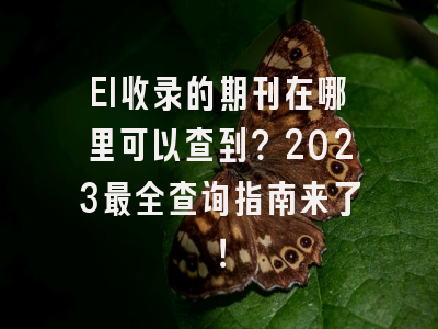 EI收录的期刊在哪里可以查到？2023最全查询指南来了！