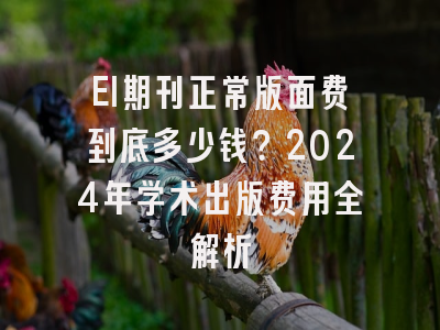 EI期刊正常版面费到底多少钱？2024年学术出版费用全解析