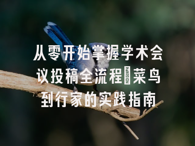 从零开始掌握学术会议投稿全流程：菜鸟到行家的实践指南
