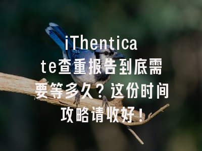 iThenticate查重报告到底需要等多久？这份时间攻略请收好！