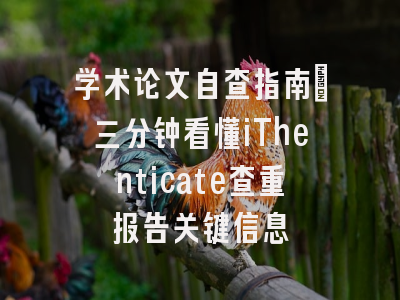 学术论文自查指南：三分钟看懂iThenticate查重报告关键信息
