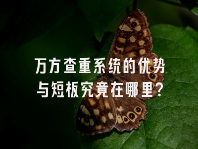 万方查重系统的优势与短板究竟在哪里？
