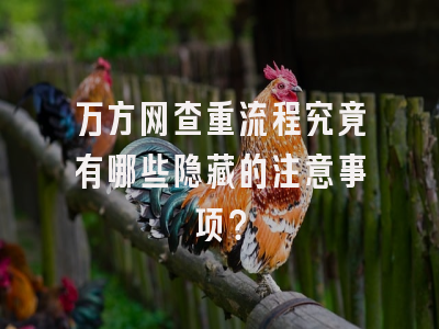 万方网查重流程究竟有哪些隐藏的注意事项？