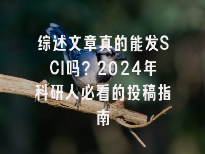 综述文章真的能发SCI吗？2024年科研人必看的投稿指南