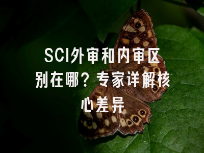 SCI外审和内审区别在哪？专家详解核心差异