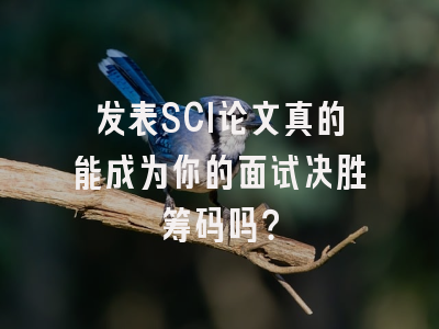 发表SCI论文真的能成为你的面试决胜筹码吗？