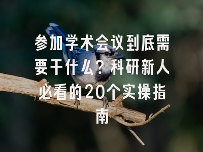 参加学术会议到底需要干什么？科研新人必看的20个实操指南