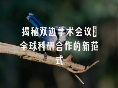 揭秘双边学术会议：全球科研合作的新范式