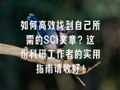 如何高效找到自己所需的SCI文章？这份科研工作者的实用指南请收好！