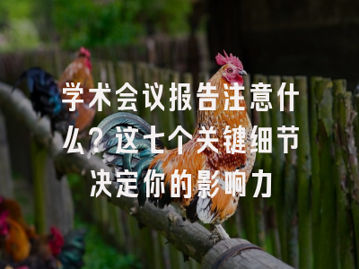 学术会议报告注意什么？这七个关键细节决定你的影响力