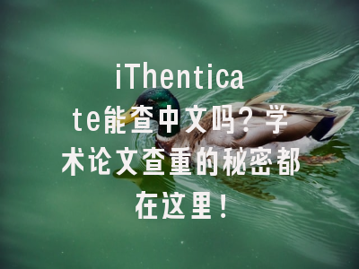 iThenticate能查中文吗？学术论文查重的秘密都在这里！