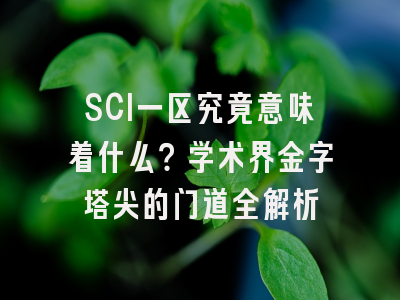 SCI一区究竟意味着什么？学术界金字塔尖的门道全解析