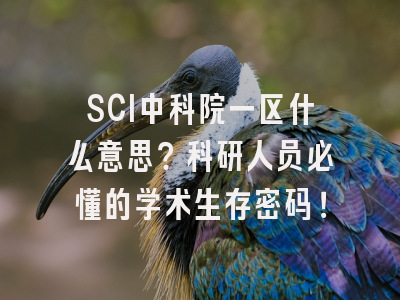 SCI中科院一区什么意思？科研人员必懂的学术生存密码！