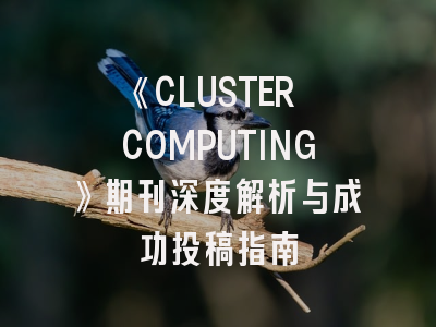 《CLUSTER COMPUTING》期刊深度解析与成功投稿指南