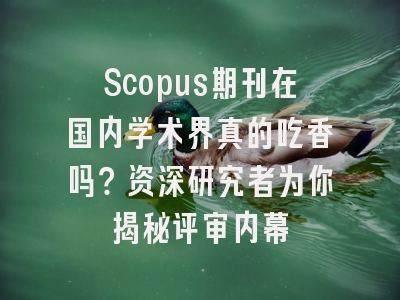 Scopus期刊在国内学术界真的吃香吗？资深研究者为你揭秘评审内幕