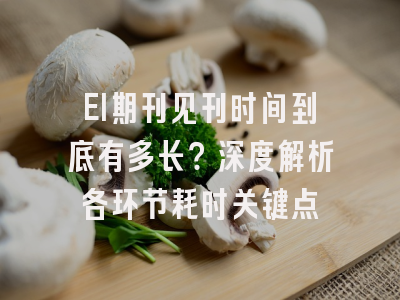 EI期刊见刊时间到底有多长？深度解析各环节耗时关键点