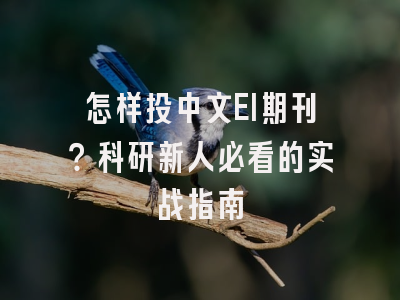 怎样投中文EI期刊？科研新人必看的实战指南