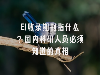 EI收录期刊指什么？国内科研人员必须知道的真相