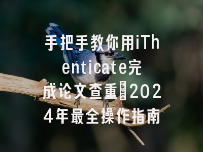 手把手教你用iThenticate完成论文查重：2024年最全操作指南