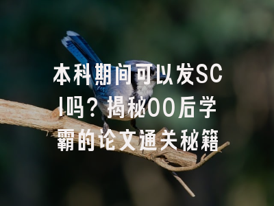 本科期间可以发SCI吗？揭秘00后学霸的论文通关秘籍