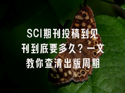 SCI期刊投稿到见刊到底要多久？一文教你查清出版周期