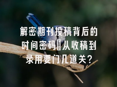 解密期刊投稿背后的时间密码：从收稿到录用要闯几道关？