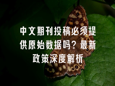 中文期刊投稿必须提供原始数据吗？最新政策深度解析