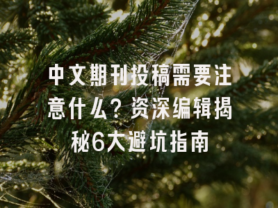 中文期刊投稿需要注意什么？资深编辑揭秘6大避坑指南