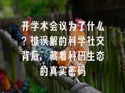 开学术会议为了什么？被误解的科学社交背后，藏着科研生态的真实密码