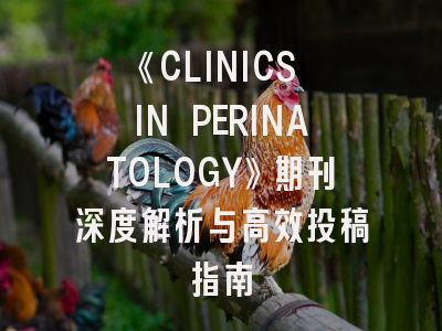 《CLINICS IN PERINATOLOGY》期刊深度解析与高效投稿指南