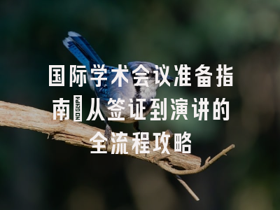国际学术会议准备指南：从签证到演讲的全流程攻略