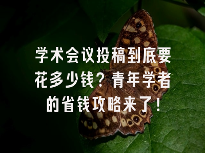 学术会议投稿到底要花多少钱？青年学者的省钱攻略来了！