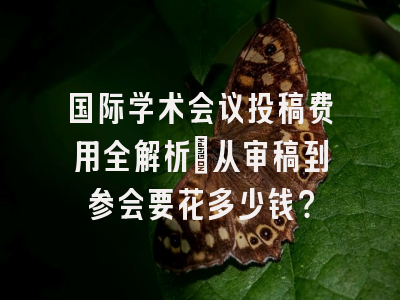 国际学术会议投稿费用全解析：从审稿到参会要花多少钱？