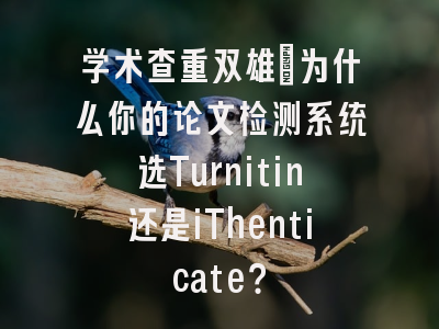 学术查重双雄：为什么你的论文检测系统选Turnitin还是iThenticate？