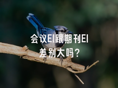 会议EI跟期刊EI差别大吗？