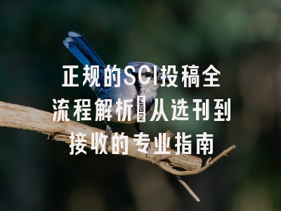正规的SCI投稿全流程解析：从选刊到接收的专业指南