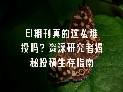 EI期刊真的这么难投吗？资深研究者揭秘投稿生存指南