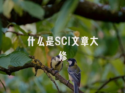 什么是SCI文章大修