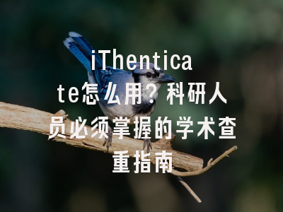 iThenticate怎么用？科研人员必须掌握的学术查重指南