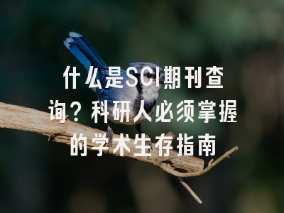 什么是SCI期刊查询？科研人必须掌握的学术生存指南