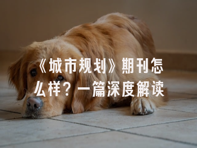 《城市规划》期刊怎么样？一篇深度解读