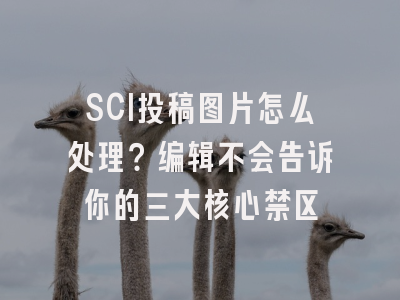 SCI投稿图片怎么处理？编辑不会告诉你的三大核心禁区