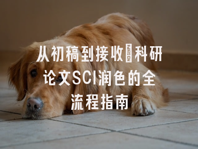 从初稿到接收：科研论文SCI润色的全流程指南