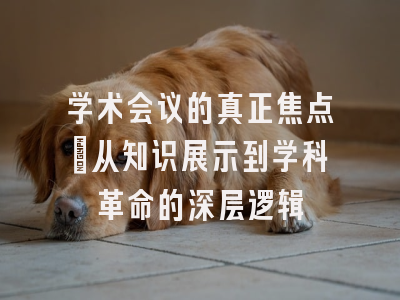 学术会议的真正焦点：从知识展示到学科革命的深层逻辑
