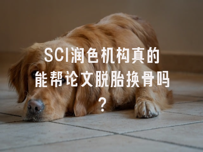 SCI润色机构真的能帮论文脱胎换骨吗？