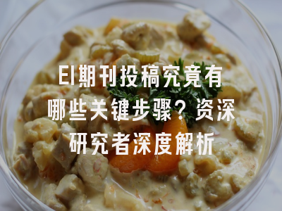 EI期刊投稿究竟有哪些关键步骤？资深研究者深度解析