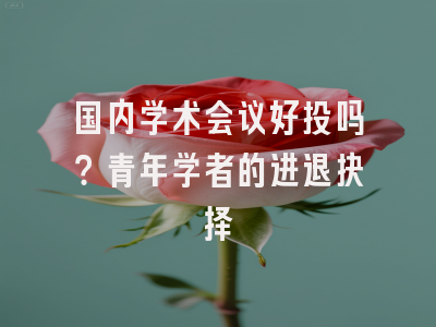 国内学术会议好投吗？青年学者的进退抉择