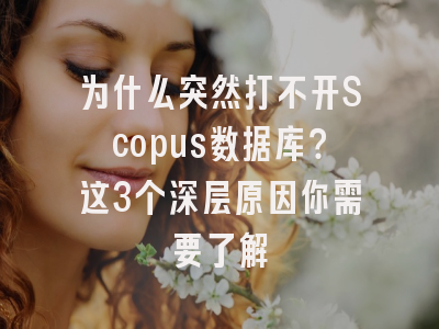 为什么突然打不开Scopus数据库？这3个深层原因你需要了解