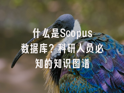 什么是Scopus数据库？科研人员必知的知识图谱
