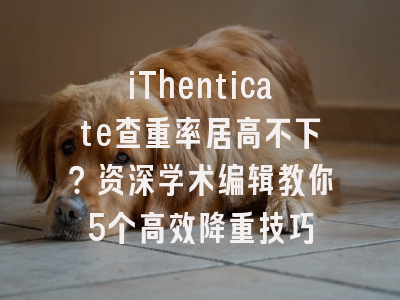 iThenticate查重率居高不下？资深学术编辑教你5个高效降重技巧